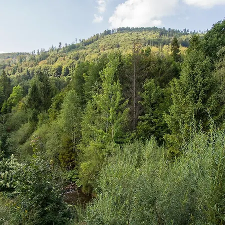 Mala Osada Z Jacuzzi Przy Gondoli