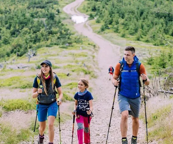 Mała Osada Domek alpejski